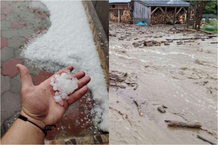 Vremea rea a făcut prăpăd în România! Copaci doborâți, peste 2.200 de persoane au rămas fără curent. Mai multe gospodării au fost inundate | FOTO