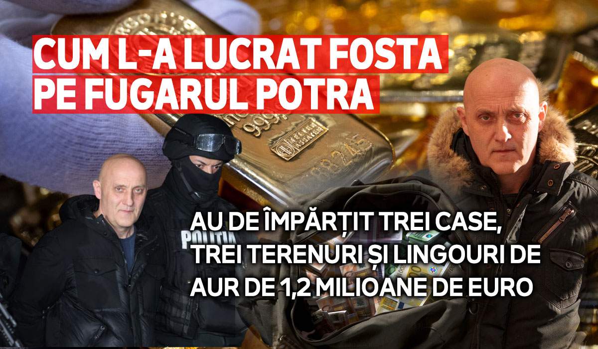 Cum l-a lucrat fosta pe fugarul Potra | Au de împărțit trei case, trei terenuri și lingouri de aur de 1,2 milioane de euro