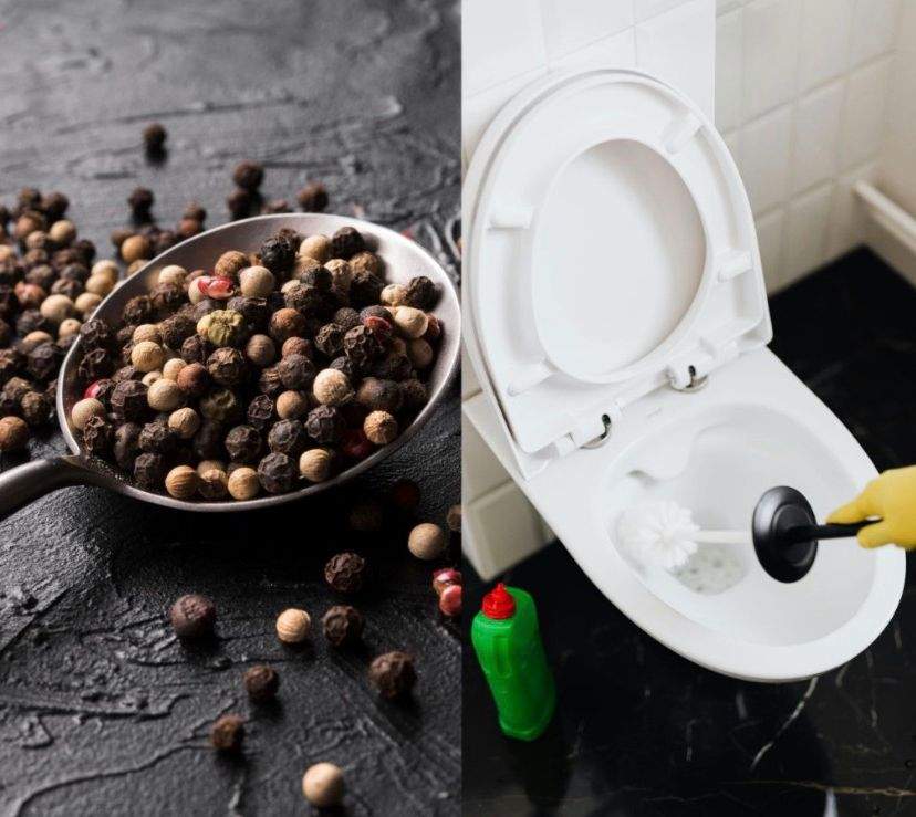 De ce să torni piper negru în vasul de toaletă. Ce se va întâmpla?