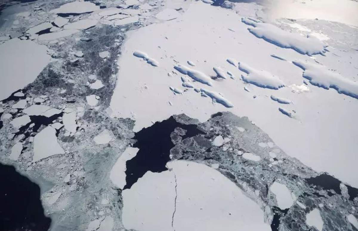 Oamenii de știință avertizează: cel mai mare iceberg din lume ar putea provoca daune catastrofale