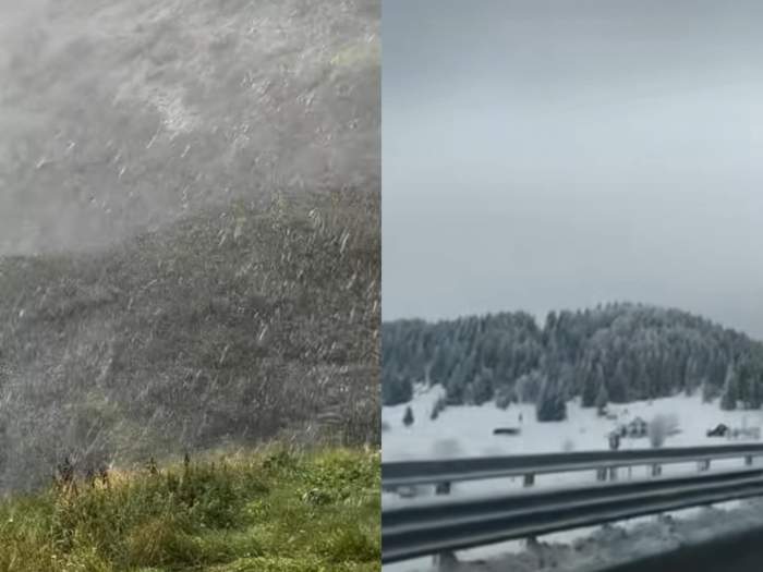 ninsori în luna august