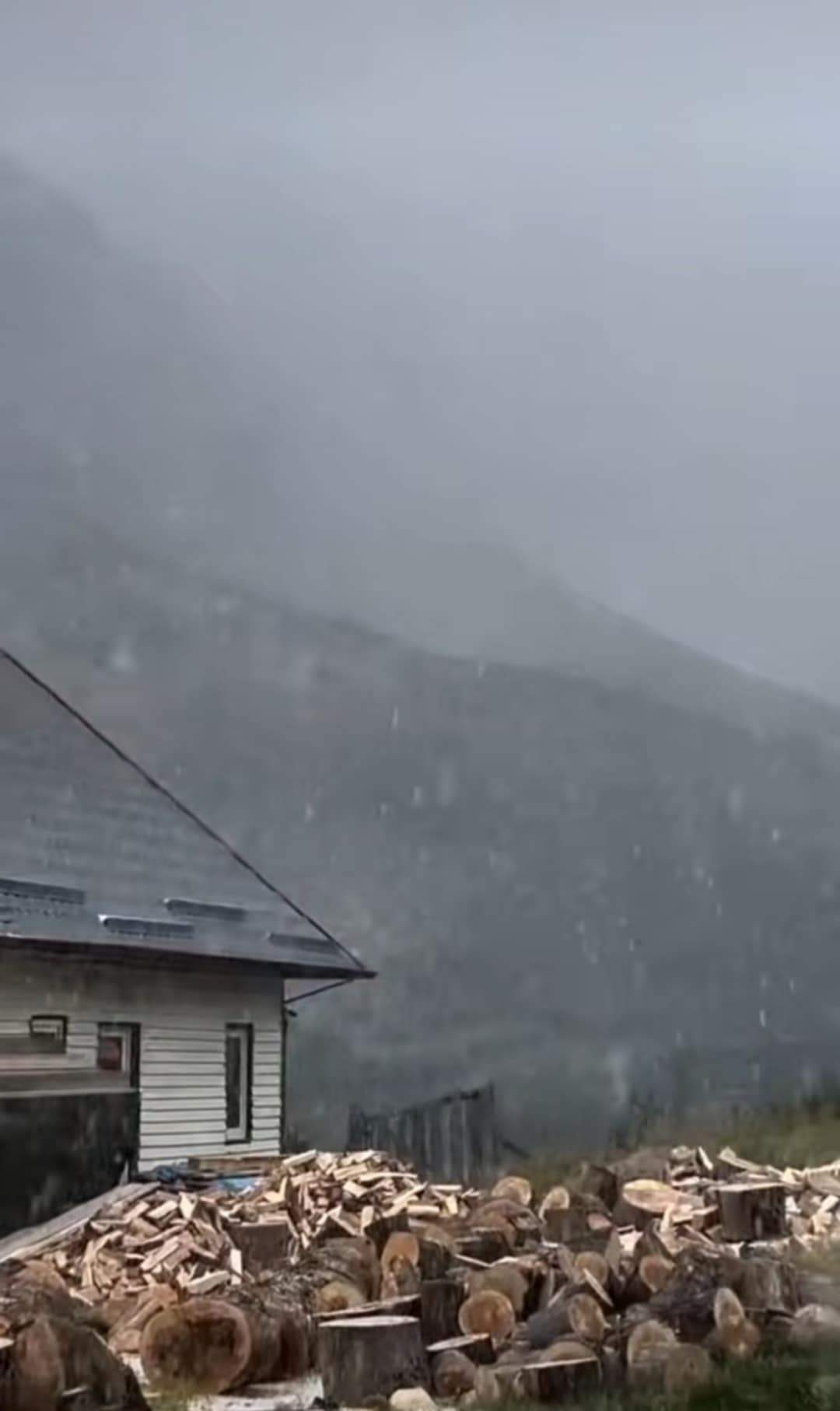 ninsori în luna august