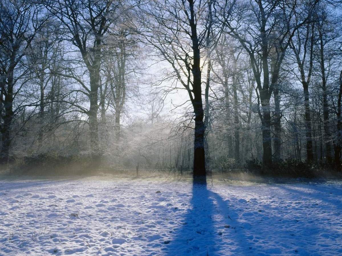 Fenomenul La Niña lovește România! Ce schimbări drastice anunță meteorologii pentru această toamnă