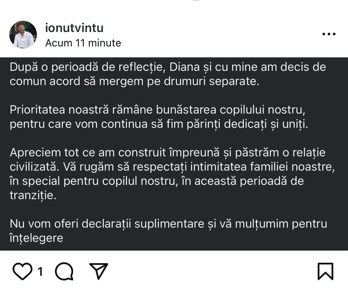 ionut vintu