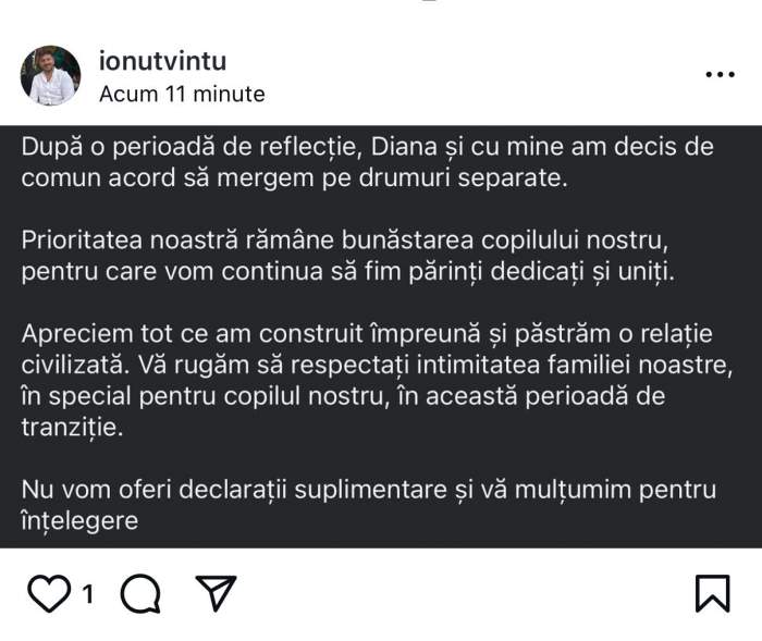 ionut vintu