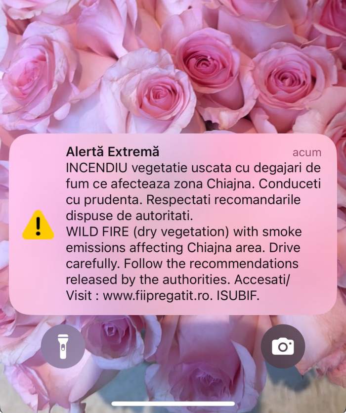 Incendiu de proporții într-un cartier de la marginea Bucureștiului! Focul se extinde cu o mare rapiditate