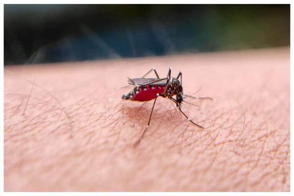 O nouă epidemie în China! Aproape 3.000 de persoane au fost infectate într-o săptămână