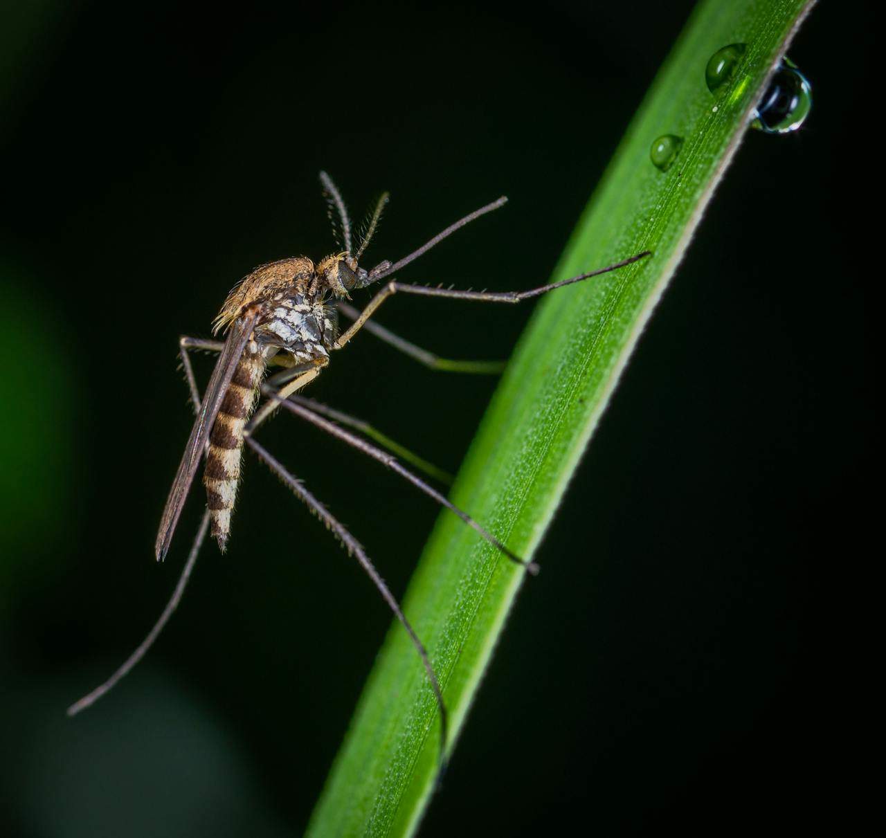 O nouă epidemie în China! Aproape 3.000 de persoane au fost infectate într-o săptămână