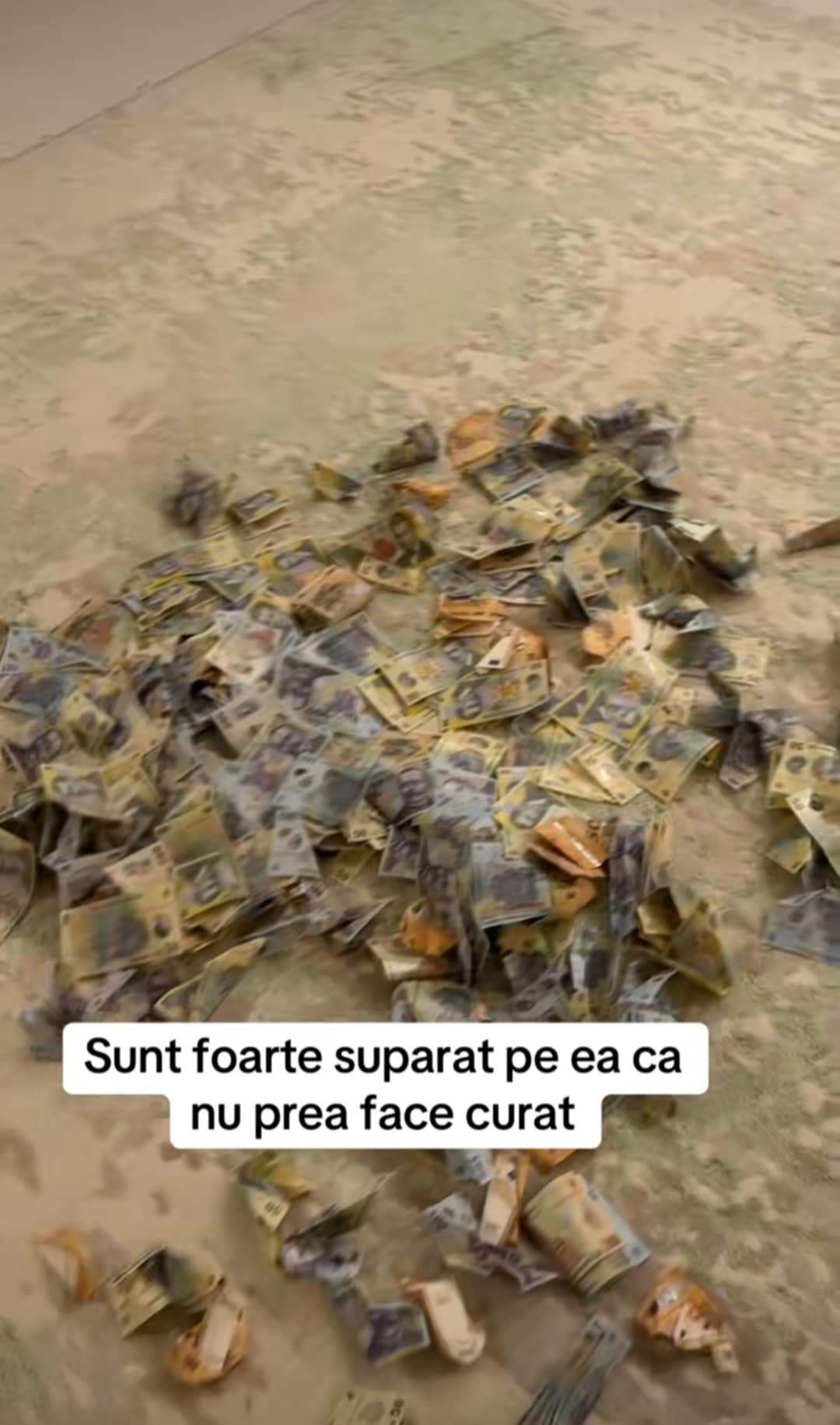bani pe covor