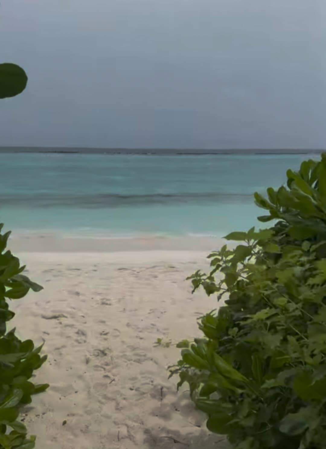 plajă din Maldive
