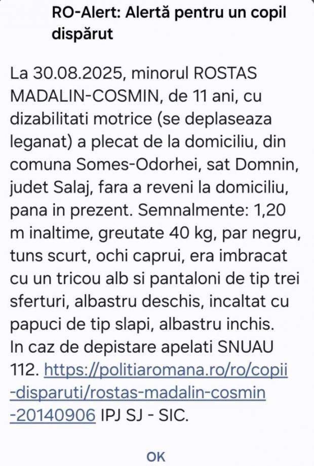 Mădălin, băiețelul din Sălaj, e încă dispărut! Copilul e căutat de 14 zile: "Oriunde mergea, venea înapoi" | FOTO
