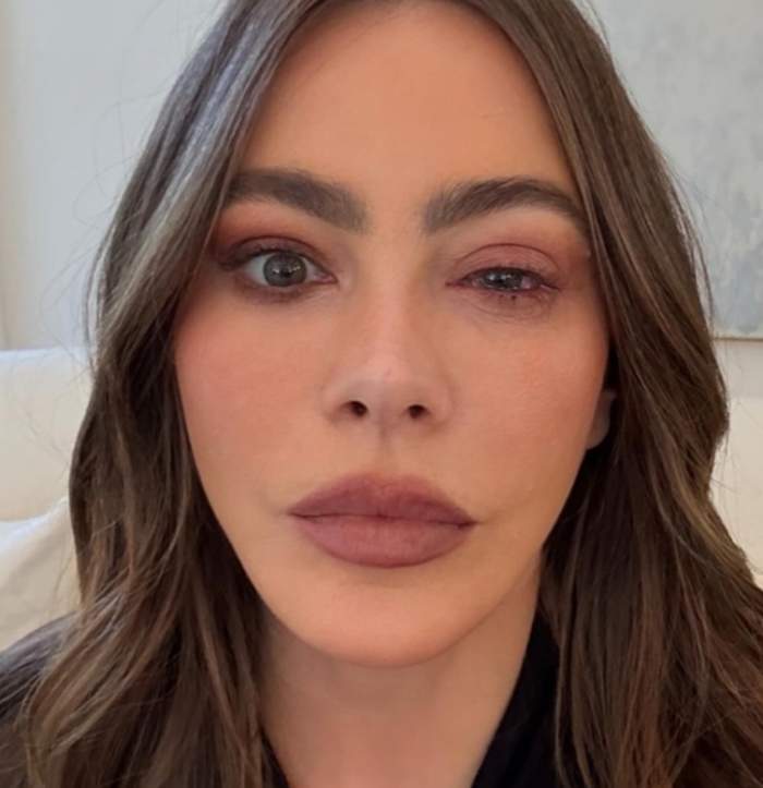 sofia vergara
