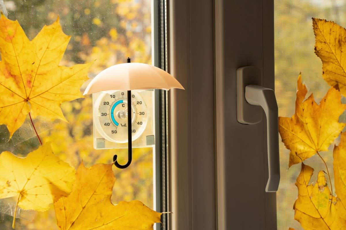O umbrelă mică atârnă deasupra unui termometru de pe fereastră, iar frunzele de arțar sunt lipite de fereastra din apartamentul de lângă umbrelă