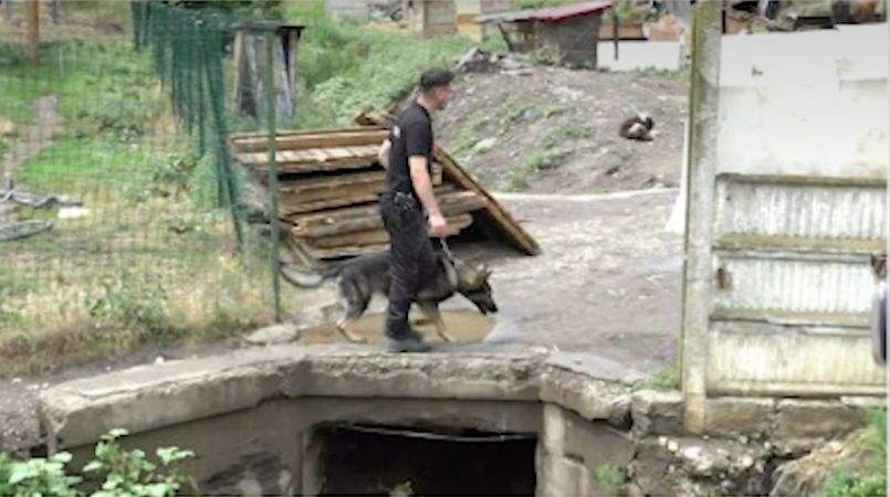 S-a găsit ascunzătoarea lui Emil Gânj! Criminalul din Mureș și-ar fi construit singur un adăpost