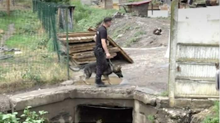 S-a găsit ascunzătoarea lui Emil Gânj! Criminalul din Mureș și-ar fi construit singur un adăpost