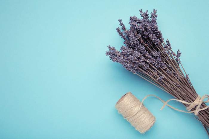 lavanda