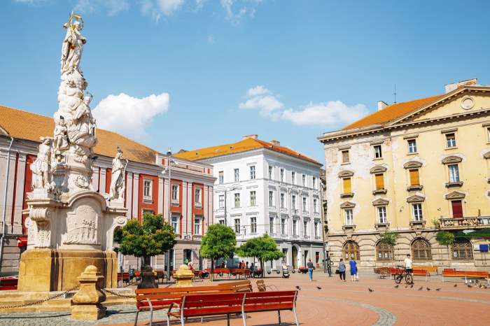 timisoara
