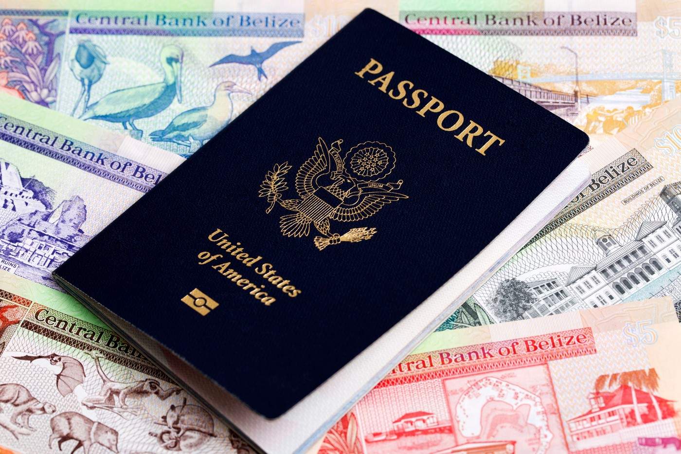 pașaport american
