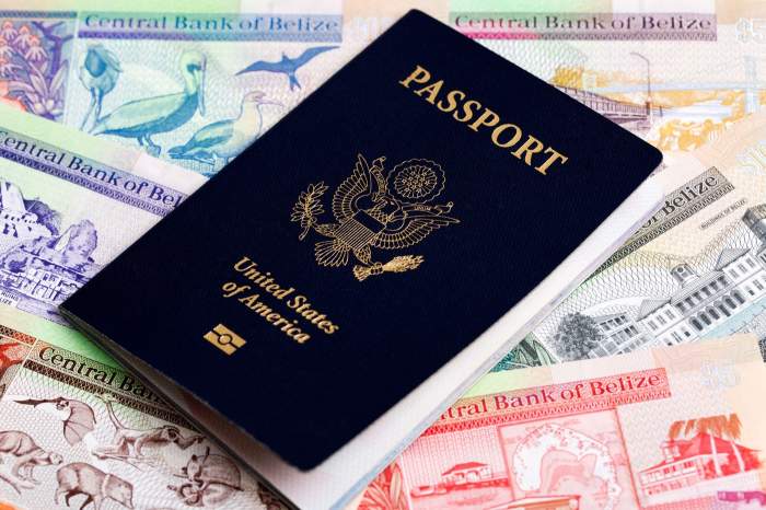 pașaport american