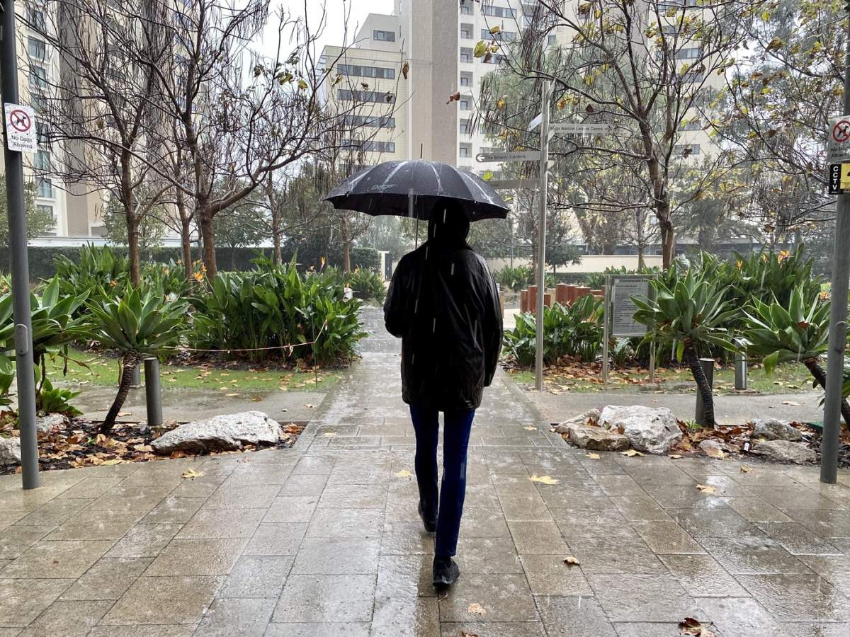 o femeie cu umbrelă