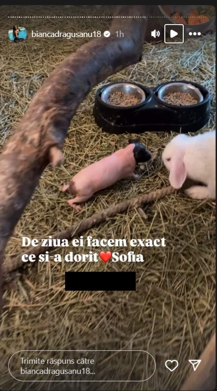 zoo
