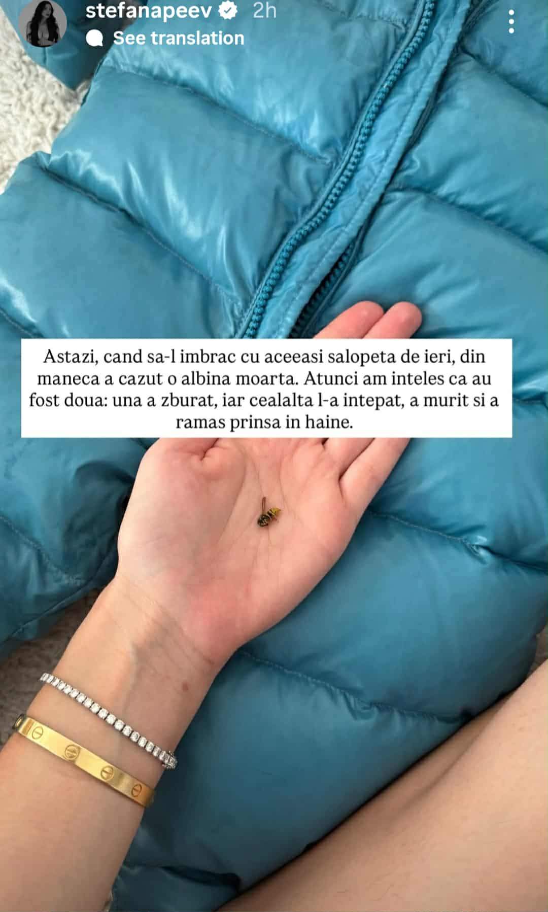 Ștefana Peev, de urgență la spital cu fiul cel mic! Atlas a fost înțepat de o albină. Cum a reacționat | FOTO