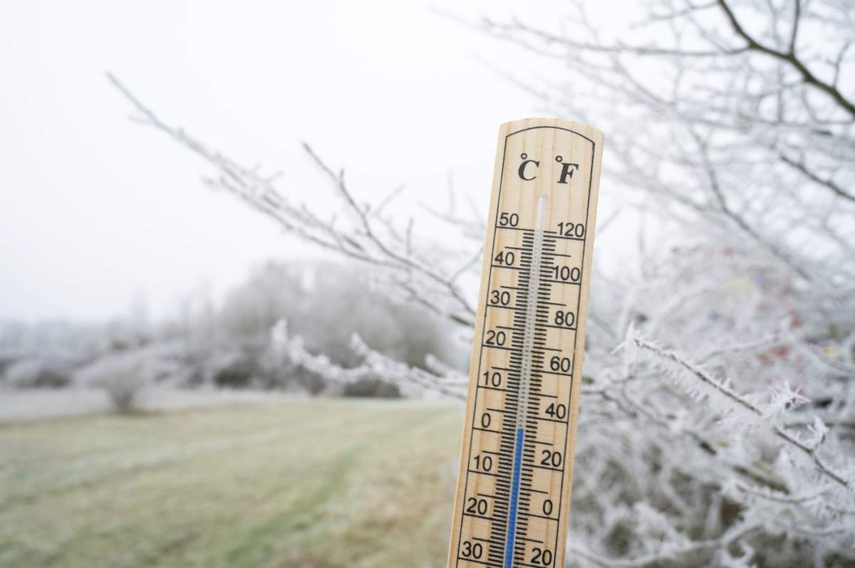 Termometru cu copac acoperit de îngheț, prognoză meteo rece și geroasă în timpul iernii, măsură temperatura, zăpadă