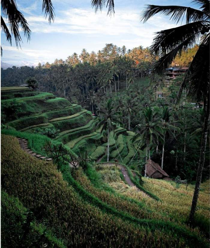 S-au schimbat condițiile de intrare în Bali! Ce trebuie să știi dacă vrei să călătorești aici