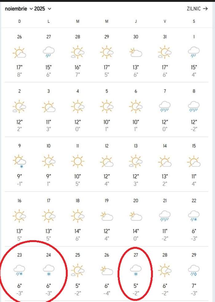 prima ninsoare în București