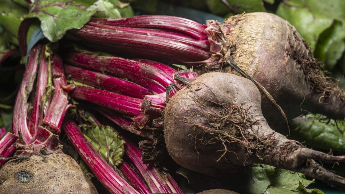 Sfeclă roșie la borcan. Rețeta simplă și rapidă pentru iarnă, care păstrează aroma și vitaminele