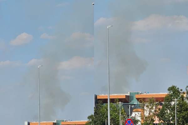 Incendiu la Grădina Zoologică București! Pompierii intervin cu 11 autospeciale | FOTO