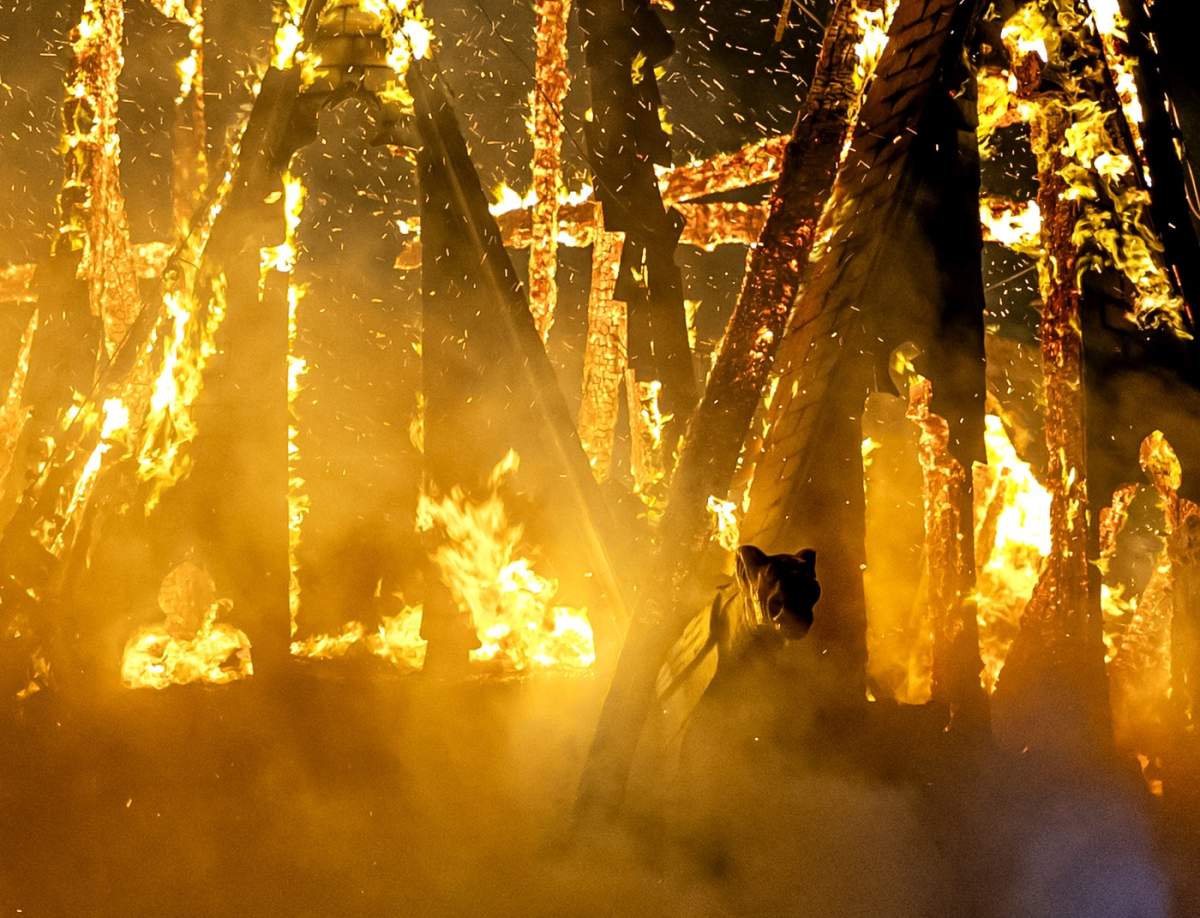 Biserica Vondelkerk din Amsterdam