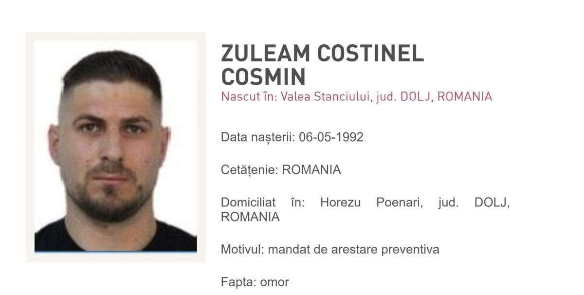 Cosmin Zuleam
