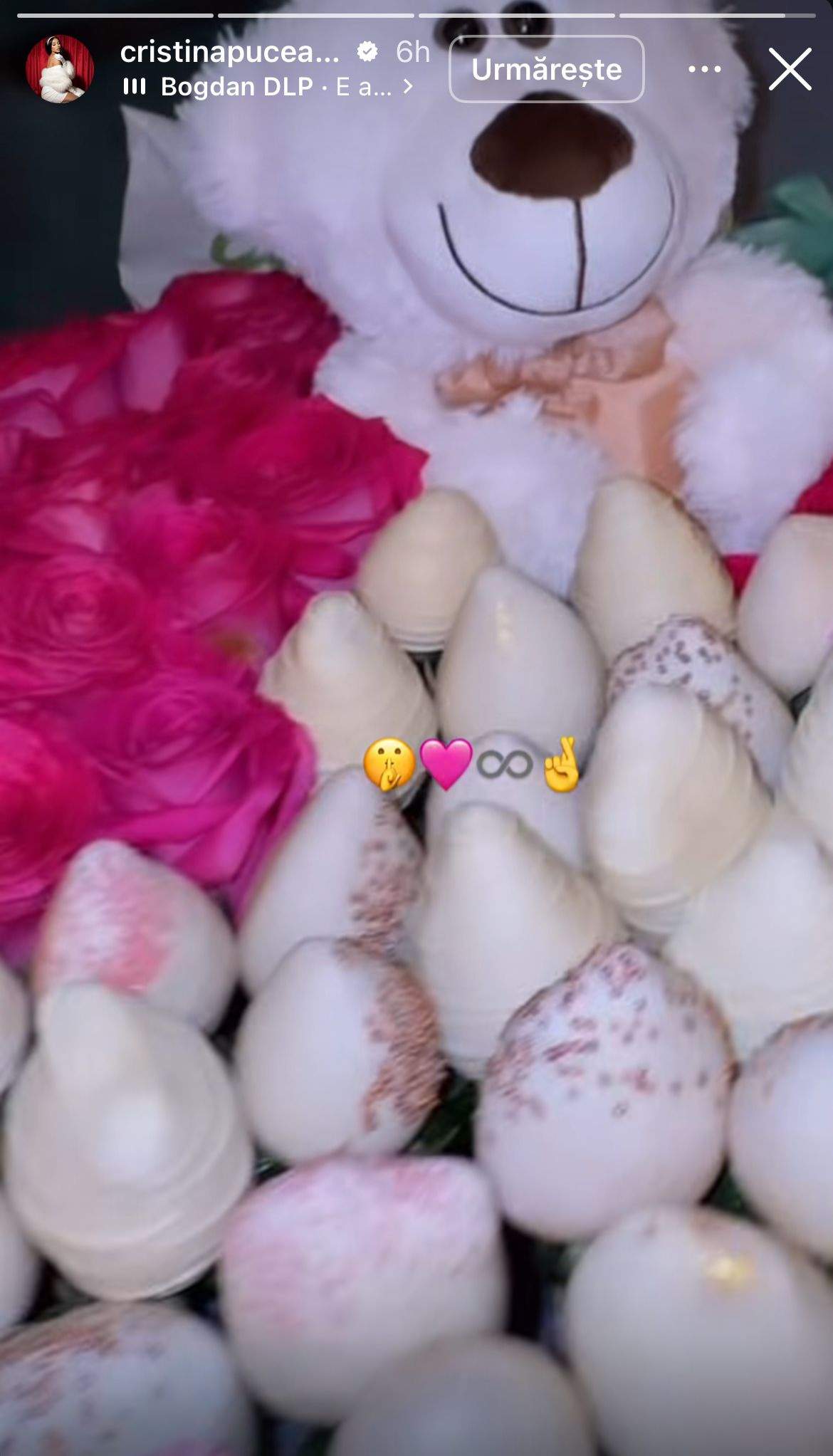 Cadoul primit de Cristina Pucean