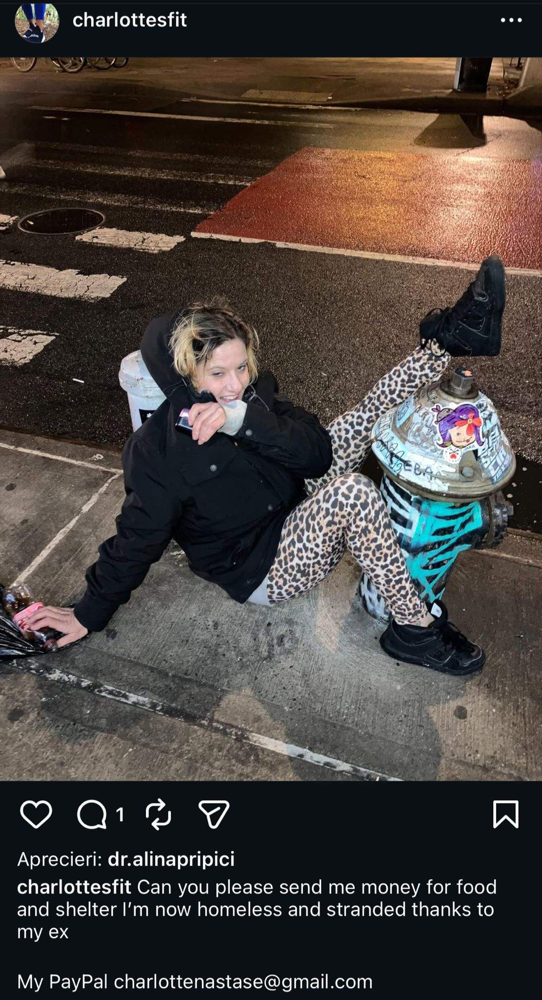 Fiica adoptivă a lui Ilie Năstase