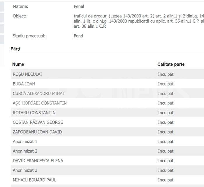 Stenogramele interceptărilor | Lovitură teribilă pentru milionarii audiați în dosarul mafiei imobliliare | Copilul lor, acuzat de fapte grave