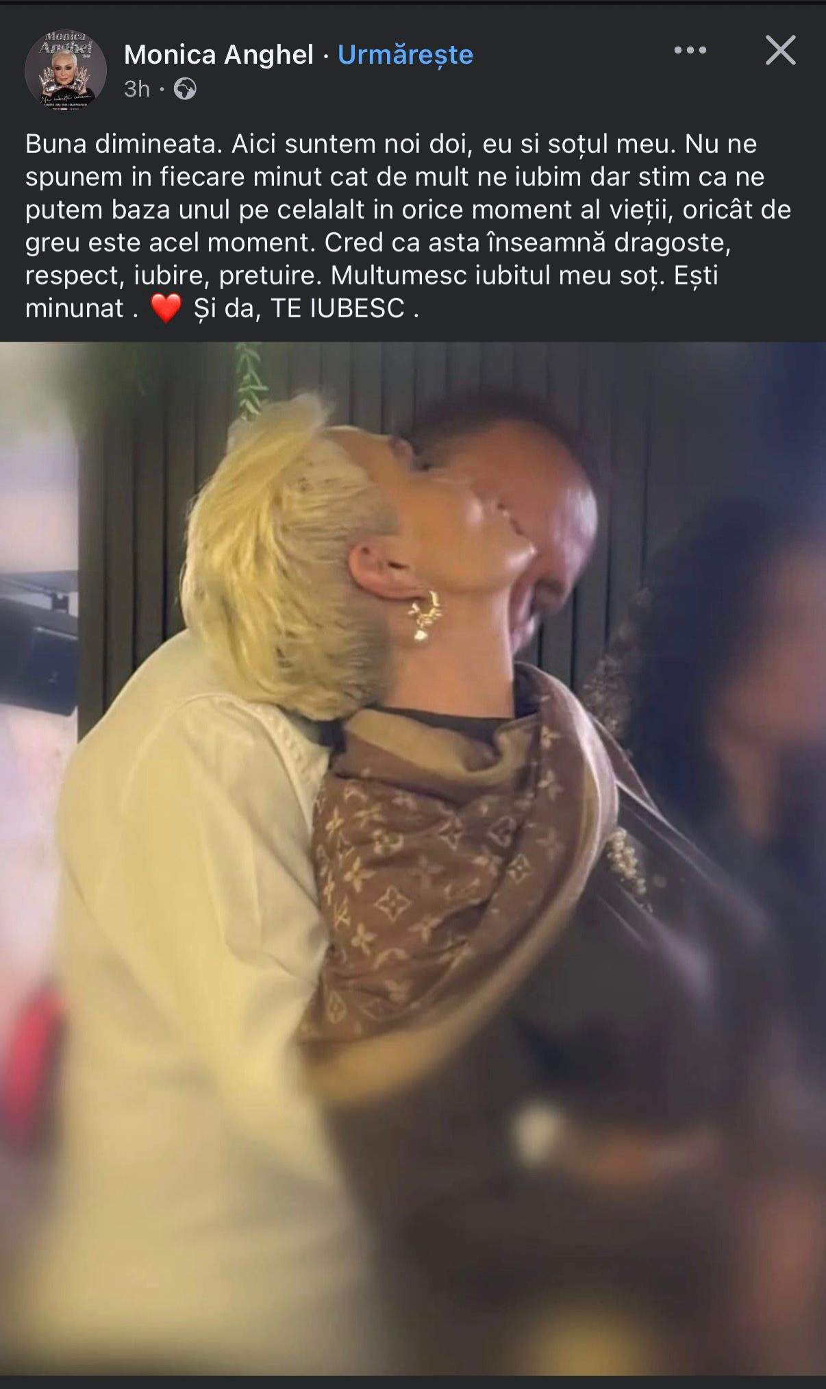 Mesajul Monicăi Anghel