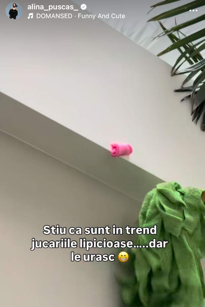 Clipul video al Alinei Pușcaș