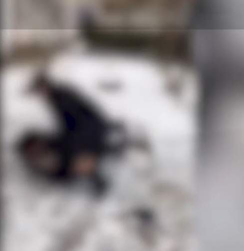 Un adolescent a fost snopit în bătaie de mai mulți băieți, lângă un liceu din Argeș. Totul a fost filmat