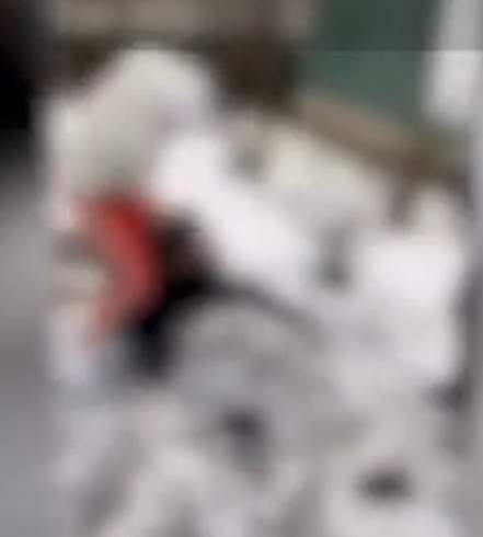 Un adolescent a fost snopit în bătaie de mai mulți băieți, lângă un liceu din Argeș. Totul a fost filmat