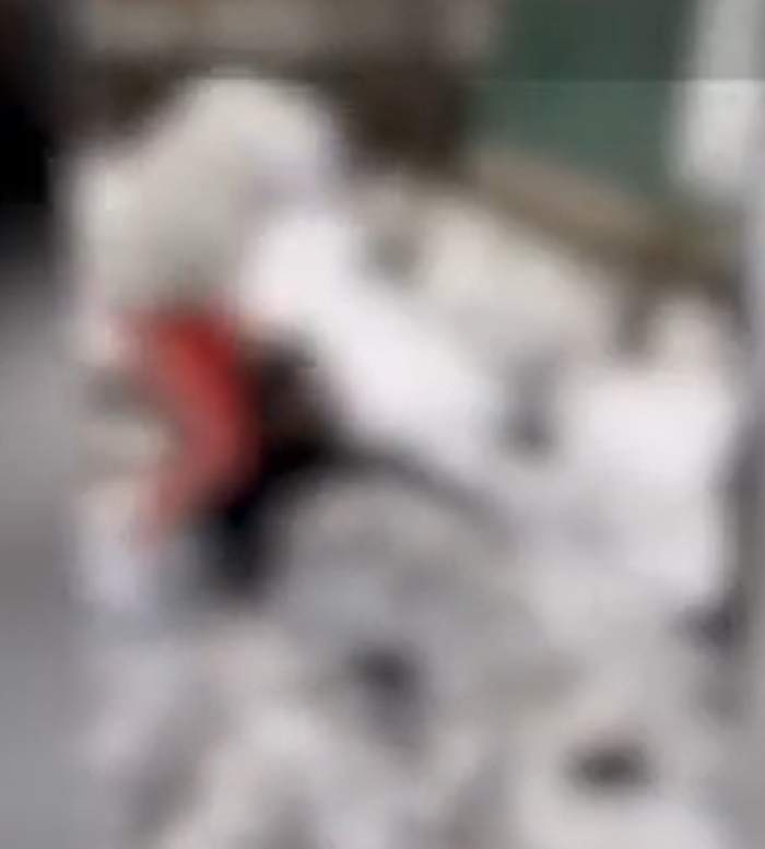 Un adolescent a fost snopit în bătaie de mai mulți băieți, lângă un liceu din Argeș. Totul a fost filmat