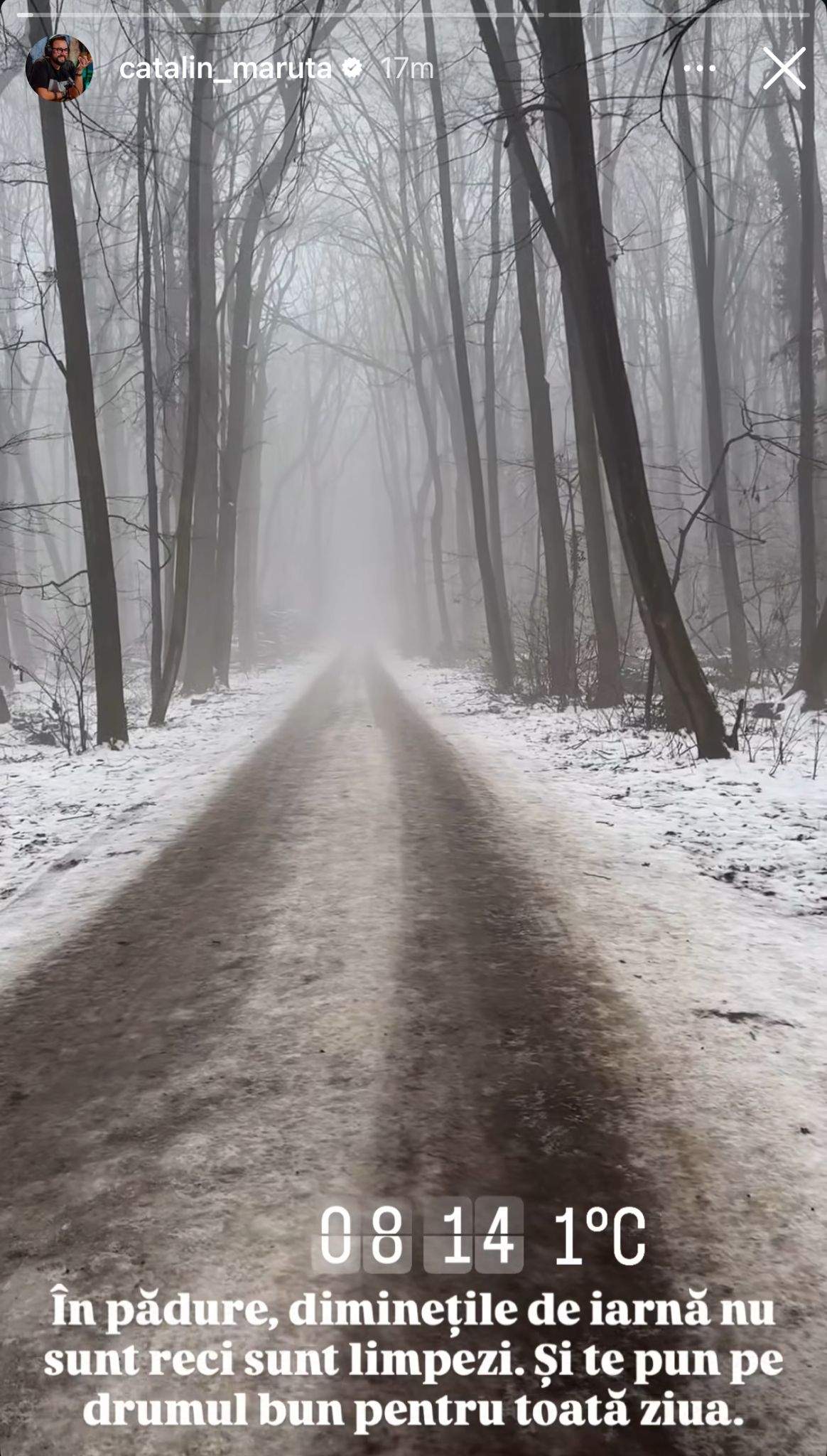 Imagine din pădurea Băneasa