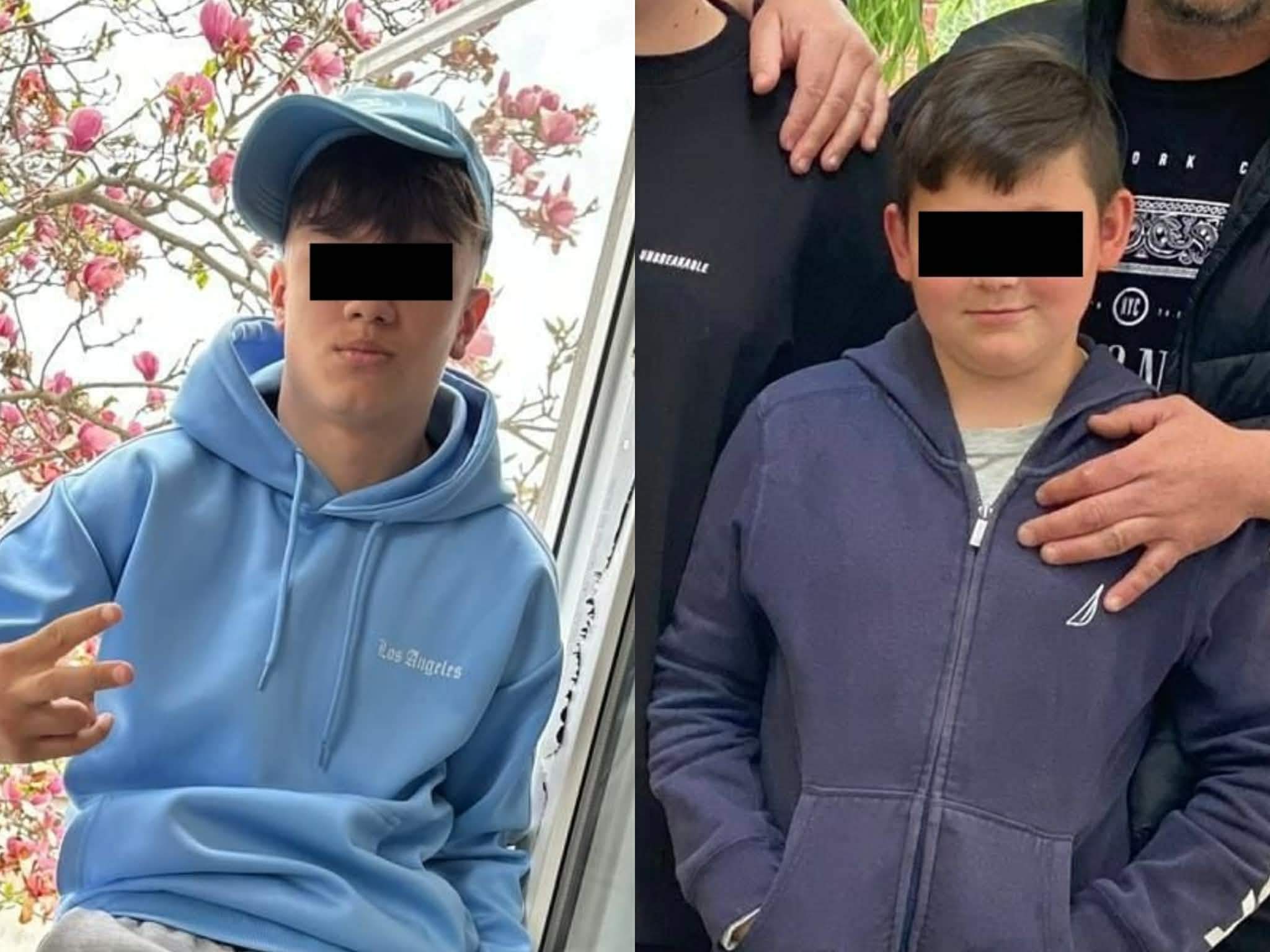 adolescentul de 13 ani și Mario Berinde