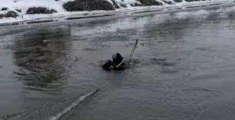 Căutări în Someș