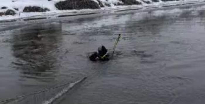 Căutări în Someș