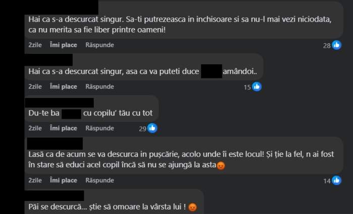 mama suspect crima cenei