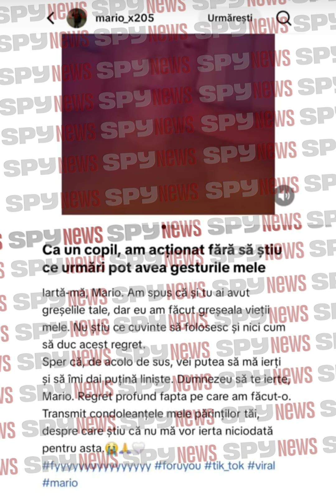 mesajele suspectului de 13 ani