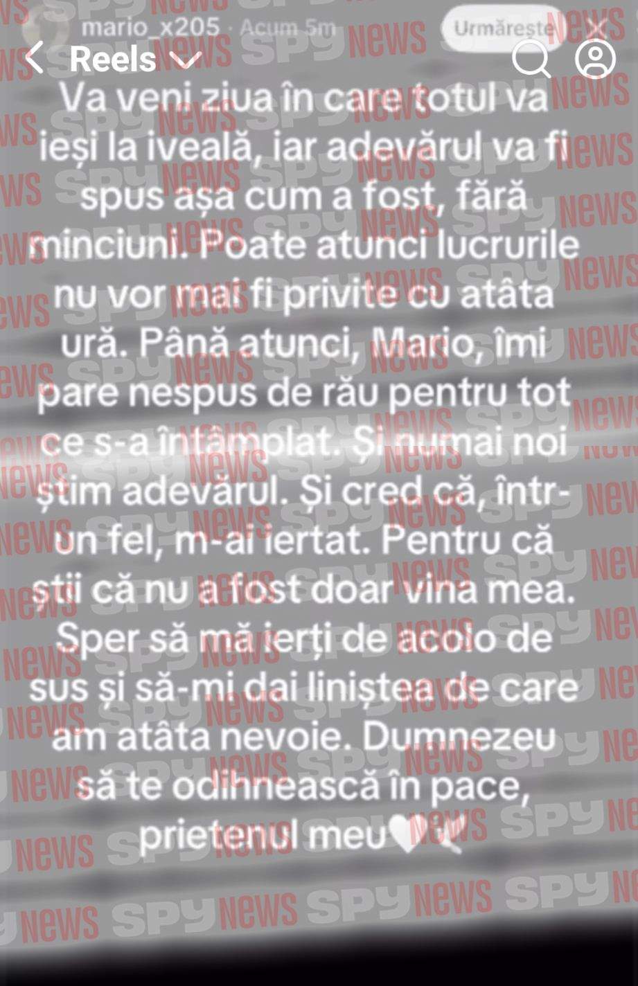 mesajele suspectului de 13 ani