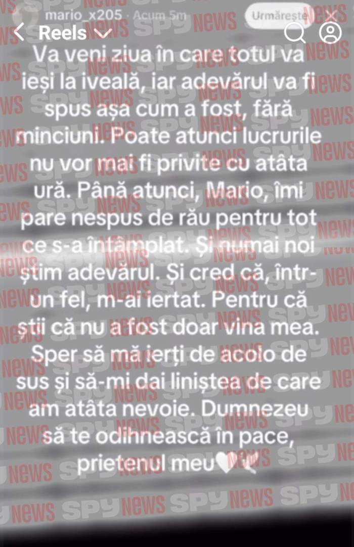 mesajele suspectului de 13 ani