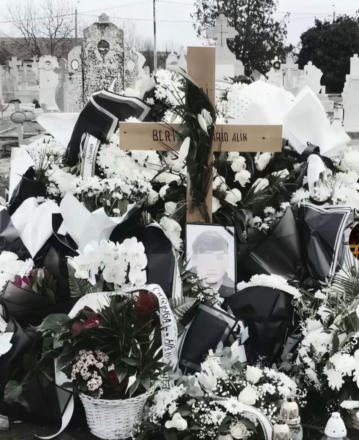 mormântul lui Mario Berinde